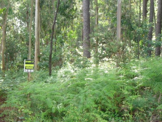 Terreno venda em Anais, Seara