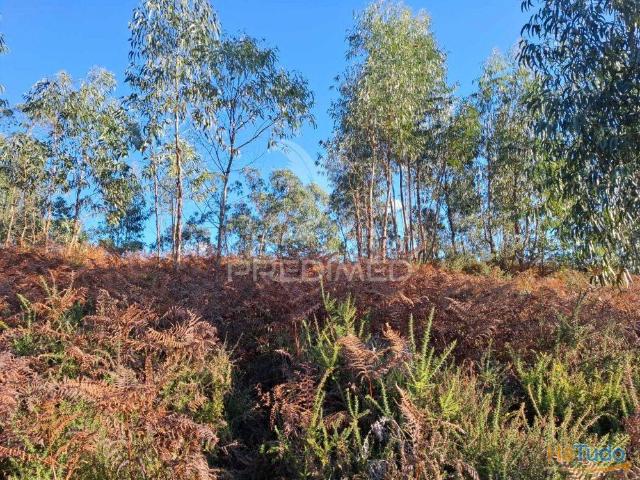 Terreno venda em Vila Verde, Braga
