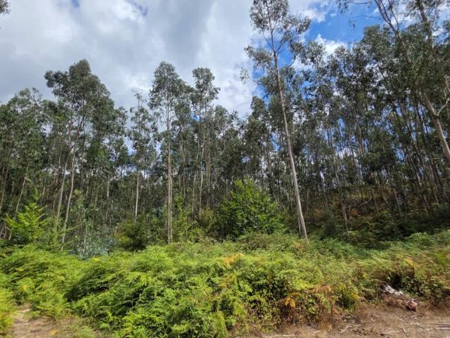 Terreno venda em Vilar e Mosteiró, Vila Do Conde