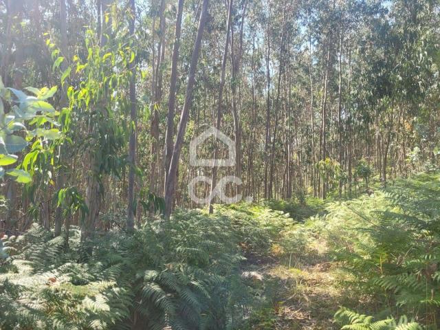Terreno venda em Vila Do Conde, Porto
