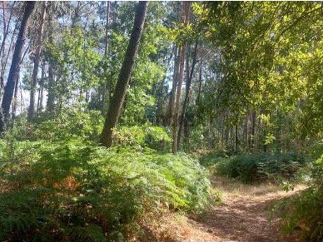 Terreno venda em Amares, Braga