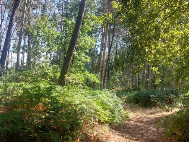 Terreno venda em Amares, Braga