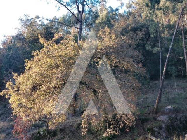 Terreno venda em Viana Do Castelo