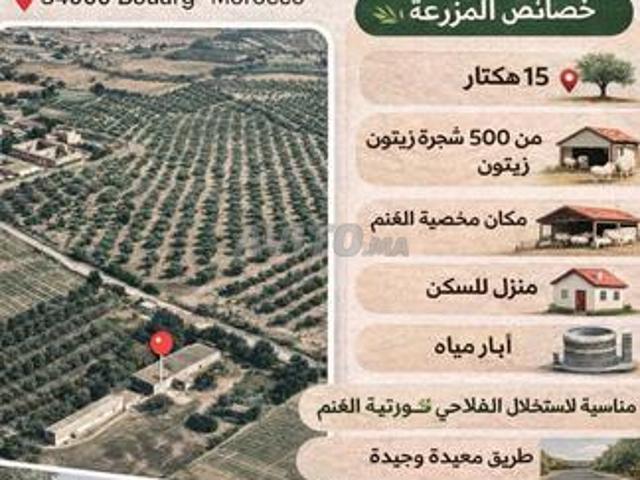 Propriété vente à Selouane