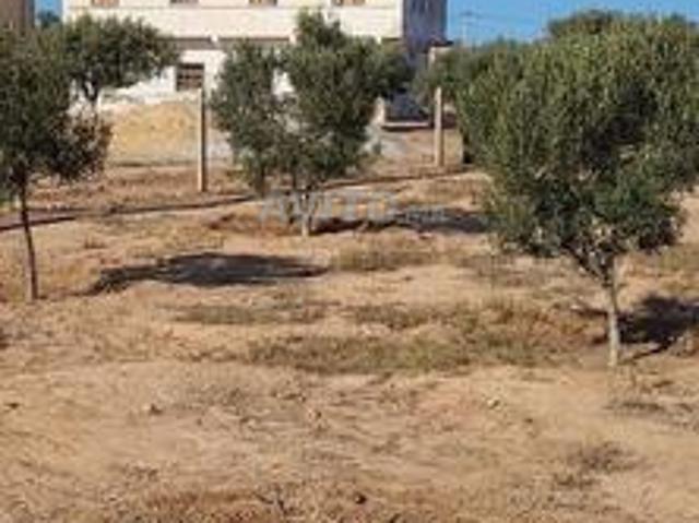 Propriété vente à Nador