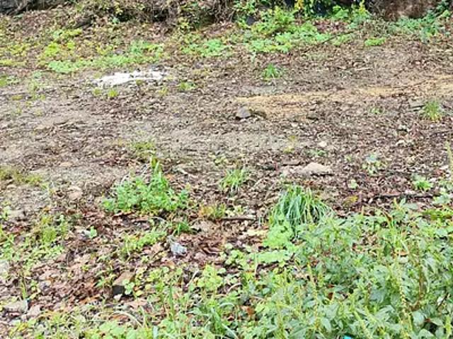 Terrain vente à Nantes, Bouaye