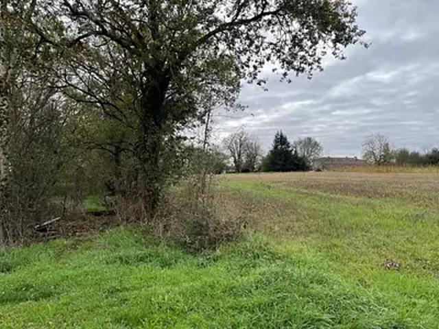 Terrain vente à Mirande, Boucagnères