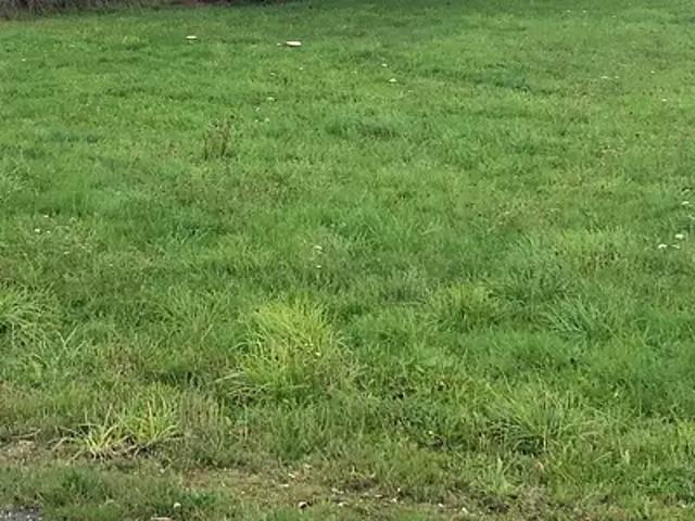 Terrain vente à France métropolitaine, Bouguenais