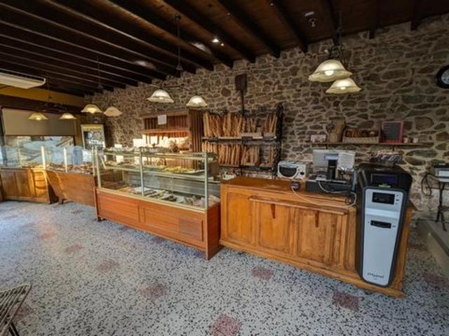 Local Commercial vente à Villefranche-sur-Saône, Rhône