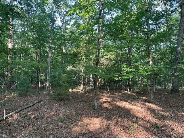 Land for sale in Murphy