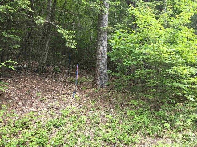 Land for sale in New Hampshire