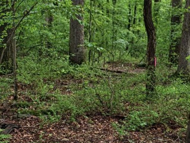 Land for sale in Bucks, Pennsylvania