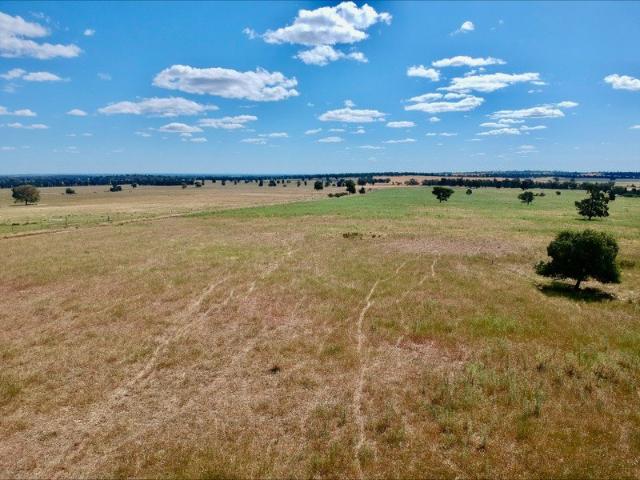 Acreage for sale in Mount Cooper, New South Wales