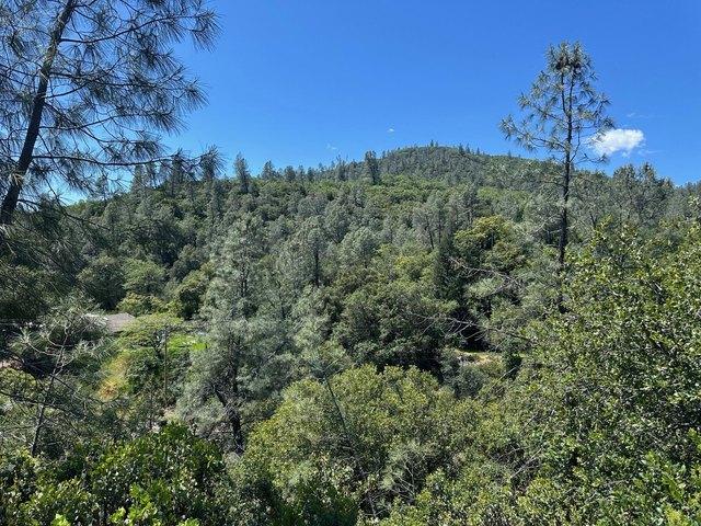 Land for sale in Shasta, California