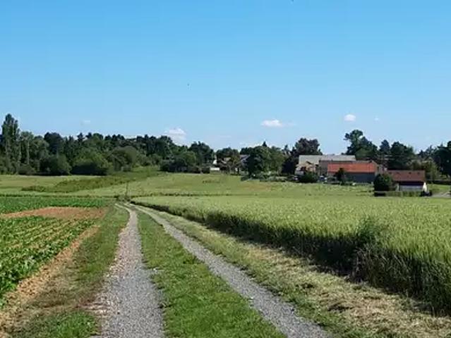 Terrain vente à Boullay-les-Troux, Essonne