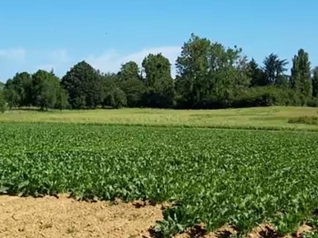 Terrain vente à Boullay-les-Troux, Essonne