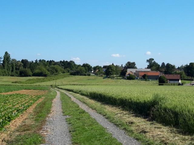 Terrain vente à Palaiseau, Boullay-les-troux