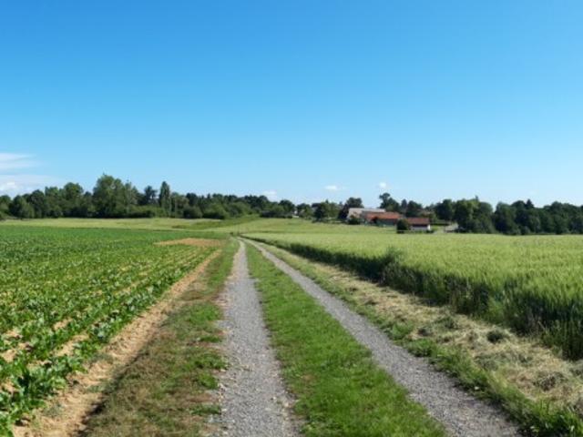 Terrain vente à Boullay-les-troux