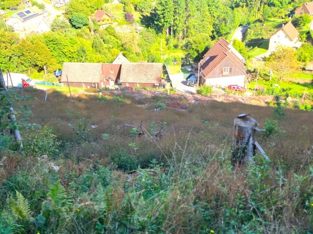 Terrain vente à Thann-Guebwiller, Bourbach-le-haut