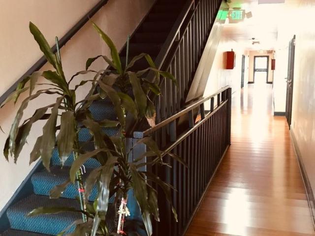 Apartment for rent in Canoga Park, California