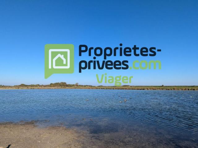 Maison vente à France métropolitaine, Bourcefranc-le-chapus