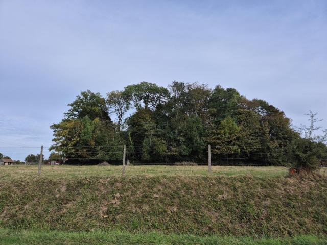 Terrain vente à Bernay, Bourg-achard