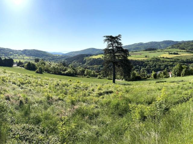 Terrain vente à Saint-Étienne, Bourg-argental