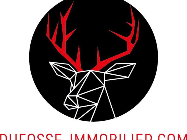 Immeuble vente à Bourg-de-thizy