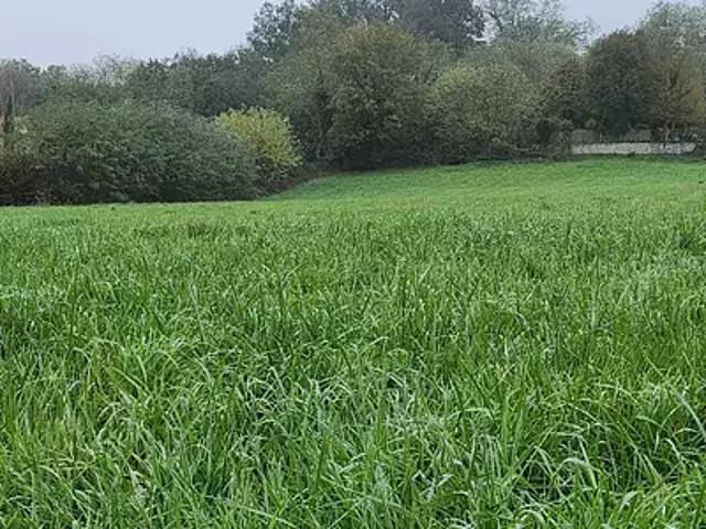Terrain vente à Bourg-saint-christophe, La Ruette