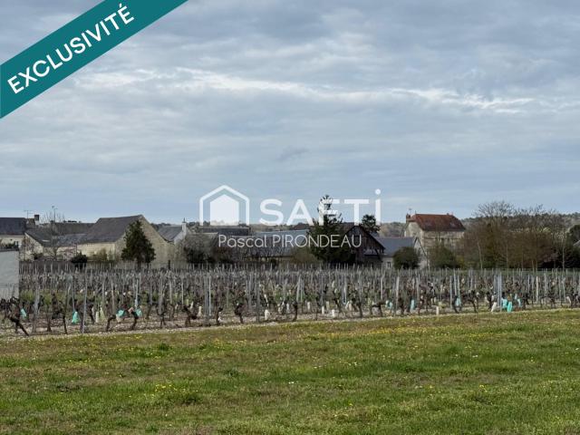 Terrain vente à Chinon, Bourgueil