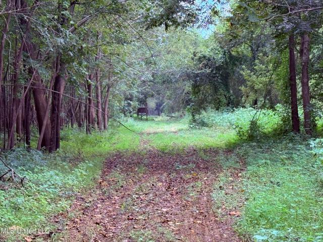 Land for sale in Mississippi