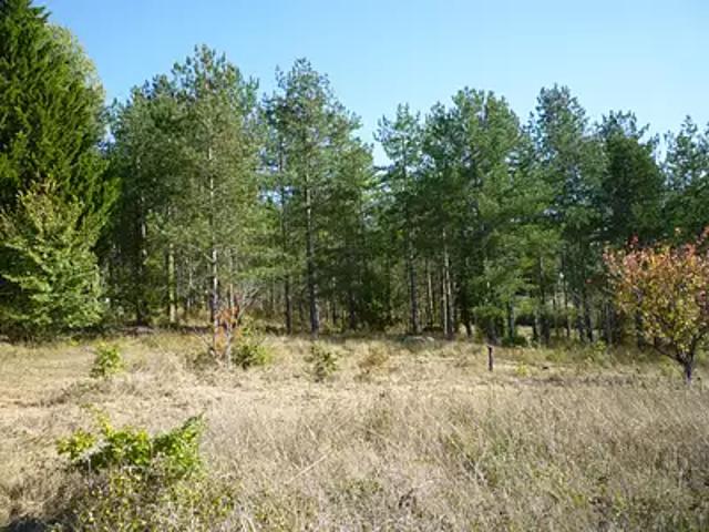 Terrain vente à Villeneuve-sur-Lot, Bourlens