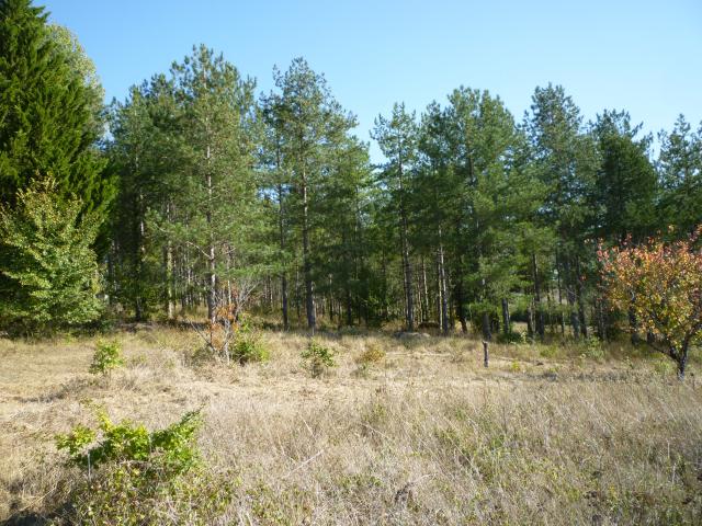 Terrain vente à Villeneuve-sur-Lot, Bourlens