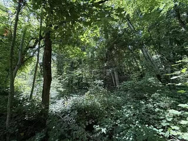 Terrain vente à Chaumont, Grand Est