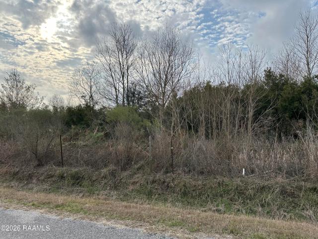 Land for sale in Gueydan, Louisiana