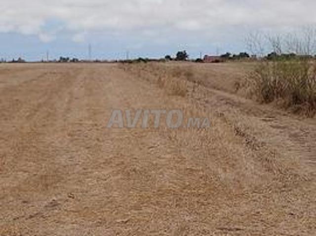Propriété vente à Bouskoura, Gharb-Chrarda-Beni Hssen