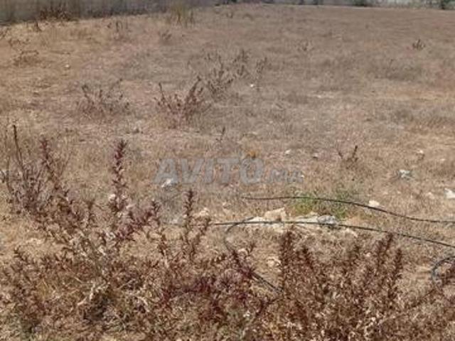 Propriété vente à Bouskoura, Gharb-Chrarda-Beni Hssen