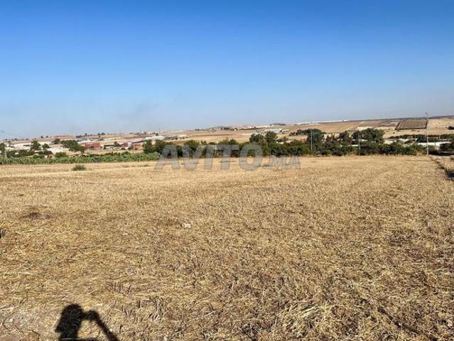 Propriété location à Anfa, Gharb-Chrarda-Beni Hssen