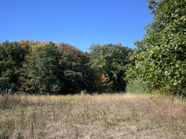 Terrain vente à Thionville, Boust