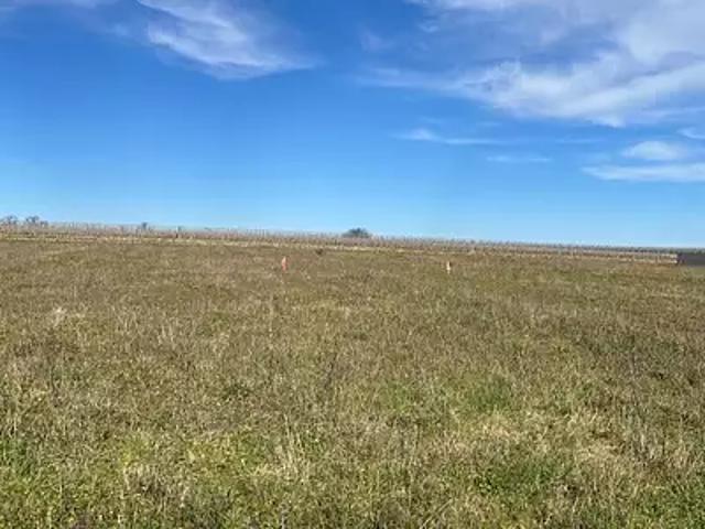 Terrain vente à France métropolitaine, Boutiers-saint-trojan