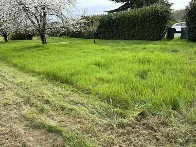 Terrain vente à France métropolitaine, Boutiers-saint-trojan