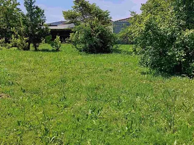 Terrain vente à France métropolitaine, Boutiers-saint-trojan