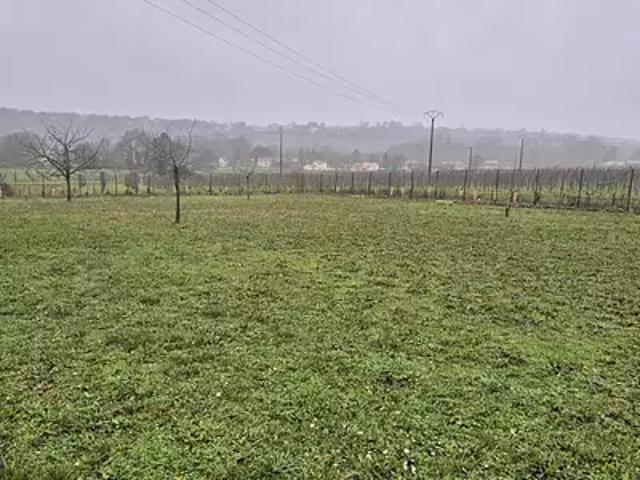 Terrain vente à Cognac, Boutiers-saint-trojan