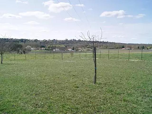 Terrain vente à France métropolitaine, Boutiers-saint-trojan