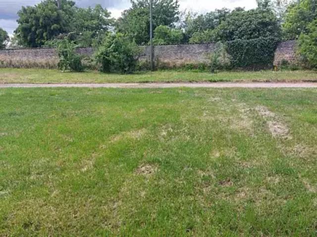 Terrain vente à France métropolitaine, Boutiers-saint-trojan