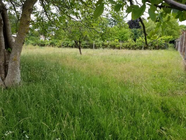 Terrain vente à Cognac, Boutiers-saint-trojan