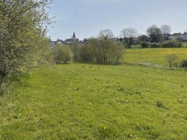 Maison vente à Büllingen, Wallonie