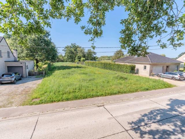 Maison vente à Tremelo, Brabant