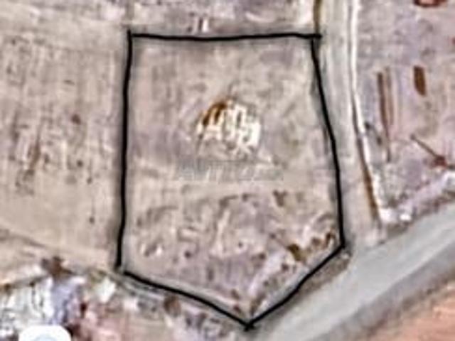 Propriété vente à Nador