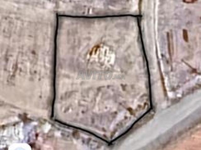 Propriété vente à Nador